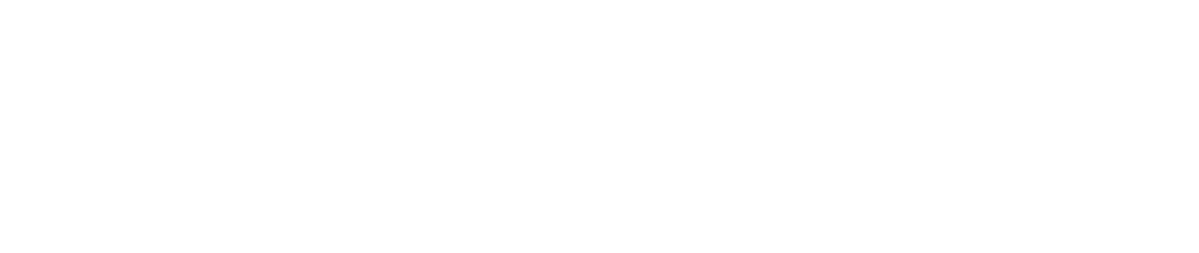 Logo Punto Doc